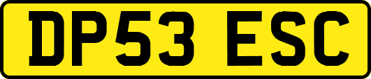 DP53ESC