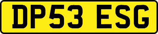 DP53ESG