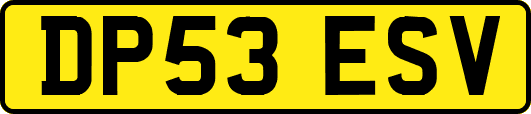 DP53ESV
