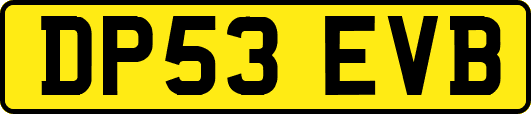 DP53EVB