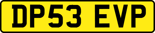 DP53EVP