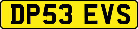 DP53EVS