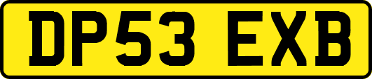 DP53EXB