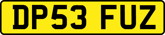 DP53FUZ