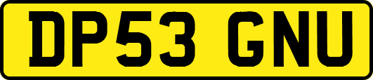 DP53GNU