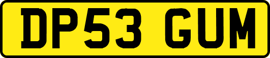 DP53GUM