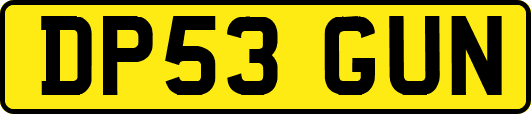 DP53GUN