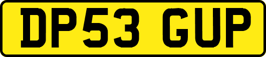 DP53GUP