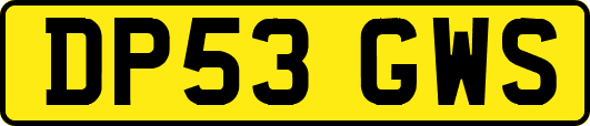 DP53GWS
