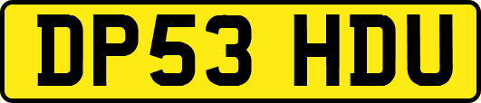 DP53HDU