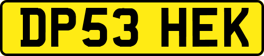 DP53HEK