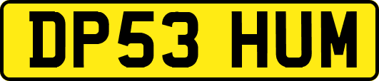 DP53HUM