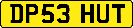 DP53HUT