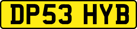 DP53HYB