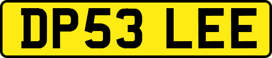 DP53LEE
