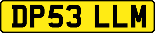 DP53LLM