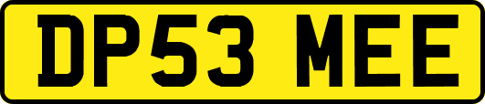 DP53MEE