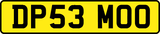 DP53MOO
