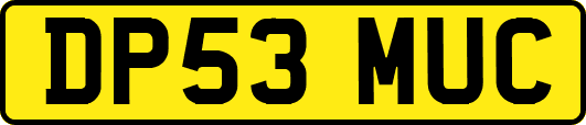DP53MUC