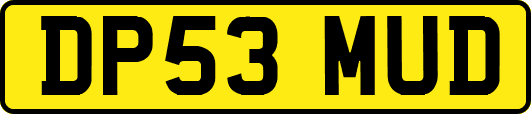 DP53MUD