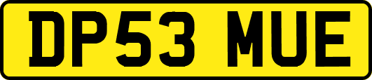 DP53MUE