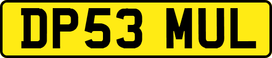 DP53MUL