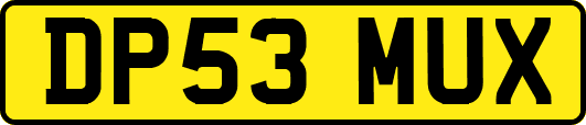 DP53MUX