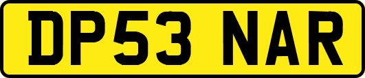 DP53NAR