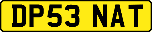 DP53NAT