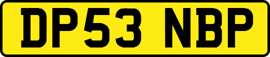 DP53NBP