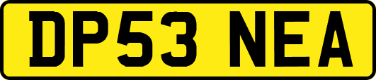 DP53NEA