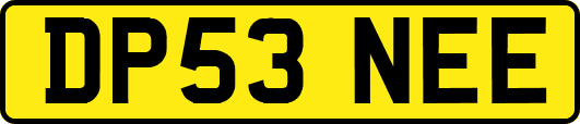 DP53NEE