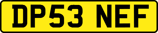 DP53NEF