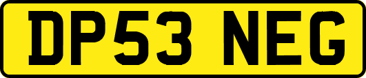 DP53NEG