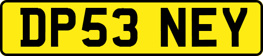 DP53NEY