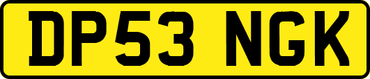 DP53NGK