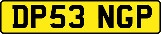 DP53NGP