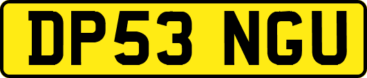 DP53NGU