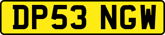 DP53NGW