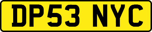DP53NYC