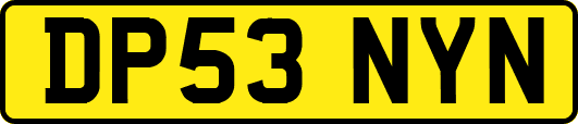 DP53NYN
