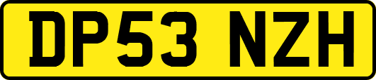 DP53NZH