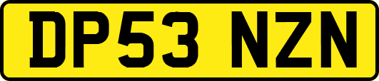 DP53NZN