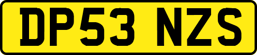 DP53NZS