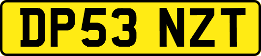 DP53NZT