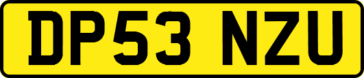 DP53NZU