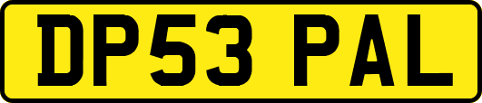 DP53PAL