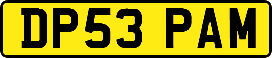 DP53PAM
