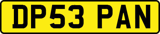 DP53PAN