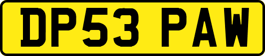 DP53PAW